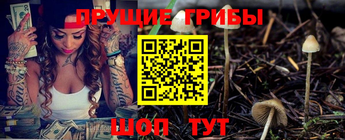 Галлюциногенные грибы Magic Shrooms  Вход с VPN  Псилоцибиновые грибы Cubensis  Луховицы 